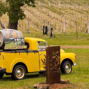 獵人谷美食之旅，含悉尼魚市場參觀