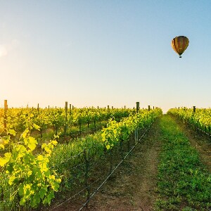 獵人谷日出熱氣球之旅