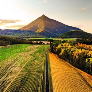 凱恩斯亞瑟頓高原尋找鴨嘴獸夜遊含BBQ晚餐(中文導覽)
