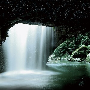 黃金海岸螢火蟲之旅（日語導覽）