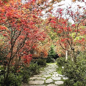 陽明山福田園休閒農場門票