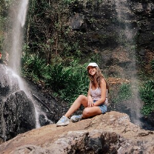 春溪雨林一日遊：無尾熊、瀑布與觀景臺