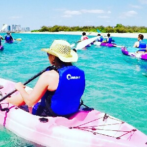 黃金海岸皮劃艇賞海豚 & 浮潛導覽之旅