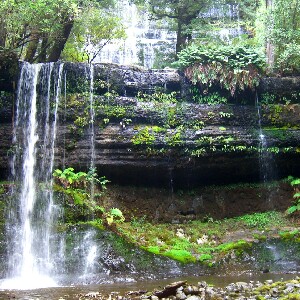荷巴特出發| 羅素瀑布 & 波諾朗野生動物保護區一日遊