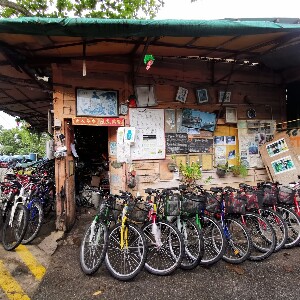 新加坡烏敏島自行車租借