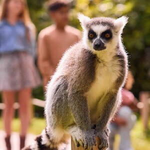 荷蘭呂伐登水族動物園門票