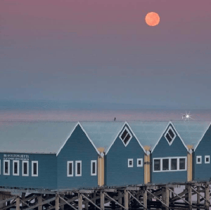 巴瑟爾頓碼頭水下觀測站體驗