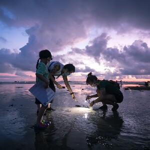 新加坡樟宜海灘潮間帶探索之旅