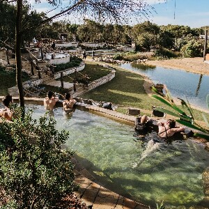 半島溫泉終極一日遊