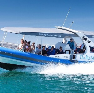 南大洋探險一日遊