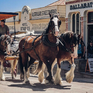 墨爾本疏芬山+巴拉瑞特市區一日遊(中文導覽)