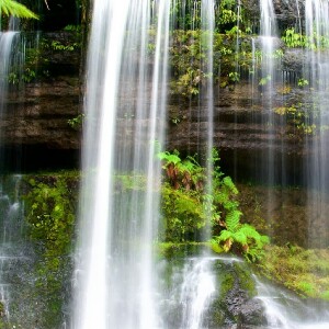 塔斯馬尼亞霍巴特費爾德山公園一日遊(中文導覽)