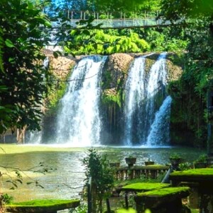 凱恩斯袋鼠谷 & 帕羅尼拉公園天空之城一日遊(中文導覽)