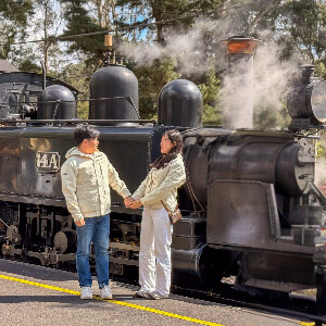 普芬比利蒸汽火車、森林步道與雅拉河谷探索之旅