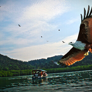 蘭卡威跳島共乘快艇遊