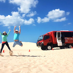 史蒂芬斯港冒險之旅：海豚遊船 & 沙丘體驗