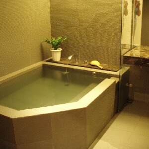 臺中: 谷關明高溫泉雙人泡湯券