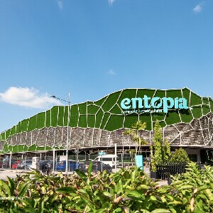 檳城蟲鳴大地蝴蝶公園門票