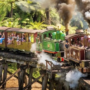 普芬比利鐵路 & 菲利普島一日自然之旅