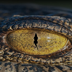 Croc! 從失落的巨鱷到現存的傳奇