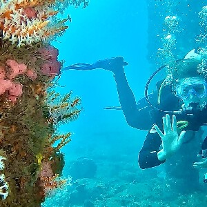 巴瑟爾頓棧橋和水下雕塑水肺潛水體驗