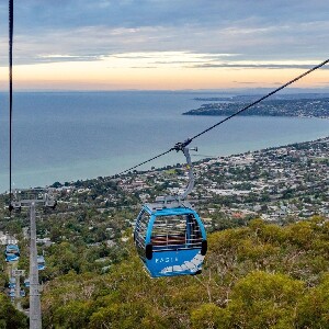 莫寧頓半島私人一日遊
