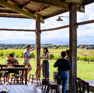 亞拉河谷私人一日遊