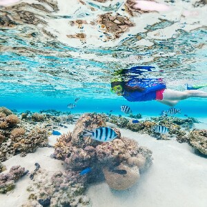 東姑阿都拉曼國家公園浮潛導覽體驗