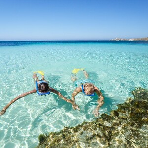 羅特尼斯島渡輪＆自行車＆浮潛之旅（費裏曼圖／伯斯出發）