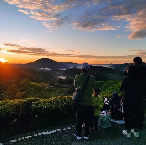苔蘚森林日出登山健行之旅