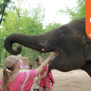 清邁Kerchor Elephant Eco Park & Zipline 一日遊