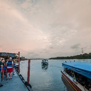 瓜拉雪蘭莪螢火蟲之旅：藍色螢光及海鮮晚餐