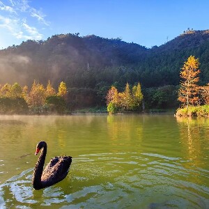 明池森林遊樂區門票