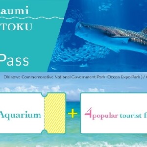 沖繩美麗海水族館套票
