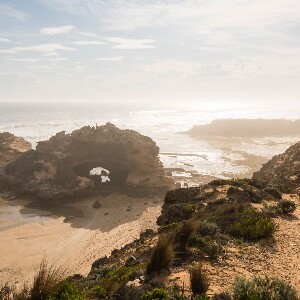 墨爾本海灣觀光＆遊船一日遊