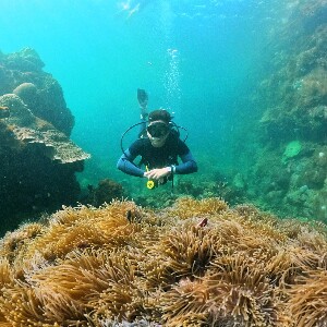 富國島專業探索水肺潛水