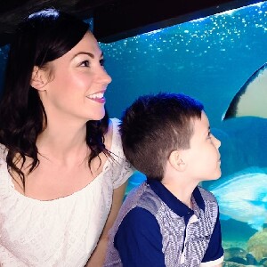 布蘭肯貝爾格海洋生物館 (Sea Life Blankenberge) 門票