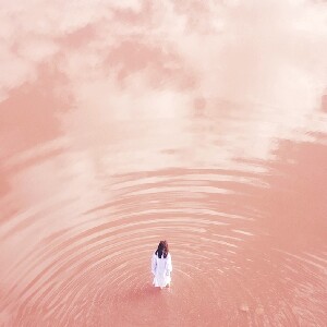 3天 澳洲 粉紅湖中文導覽之旅