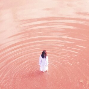 4天3晚粉紅湖 & 羅特內斯特島之旅