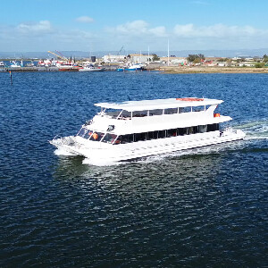 2小時阿德萊德港河海豚與海事巡航之旅