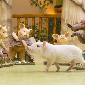 原宿Micro Pig Cafe迷你豬咖啡廳體驗