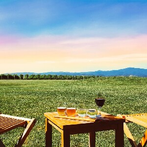 亞拉河谷品酒之旅（墨爾本出發）