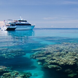 凱恩斯PADI五天學潛水