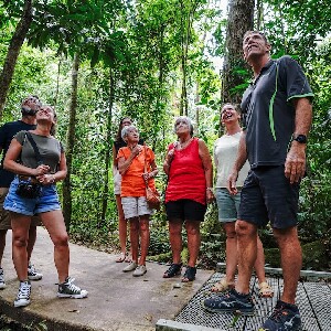 道格拉斯港丹翠雨林全體驗