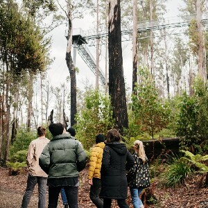 4日套票 - 霍巴特、亞瑟港、布魯尼島、黑斯廷斯和塔胡恩空中走道