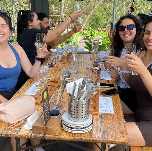 莫寧頓半島精品葡萄酒和午餐小團遊