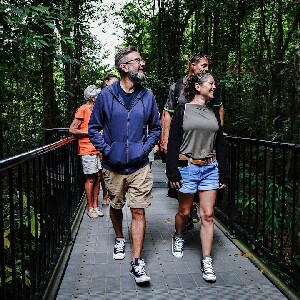 上午半天丹翠雨林之旅