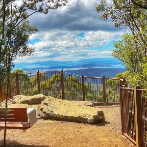 惠靈頓山導覽遊（霍巴特出發）