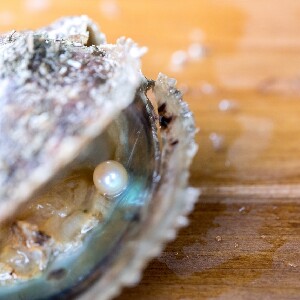 香港西貢海上珍珠工作坊