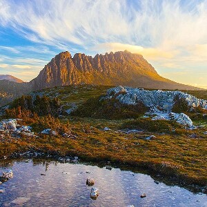 從朗塞斯頓出發的搖籃山和謝菲爾德一日遊